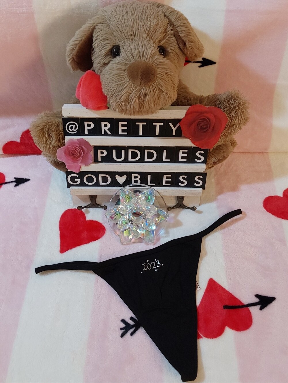 🥳 NWOT Victoria's Secret "2023" Cotton V-String Panty 🥳